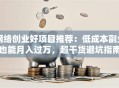 网络创业好项目推荐：低成本副业也能月入过万，超干货避坑指南