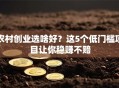 农村创业选啥好？这5个低门槛项目让你稳赚不赔