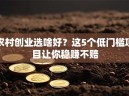 农村创业选啥好？这5个低门槛项目让你稳赚不赔