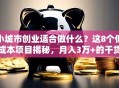 小城市创业适合做什么？这8个低成本项目揭秘，月入3万+的干货来了！