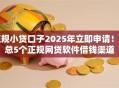 正规小贷口子2025年立即申请！汇总5个正规网贷软件借钱渠道