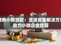 湖南小额贷款：灵活资金解决方案助力小微企业经营