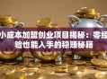 小成本加盟创业项目揭秘：零经验也能入手的稳赚秘籍