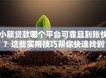 小额贷款哪个平台可靠且到账快？这些实用技巧帮你快速找到