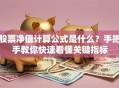股票净值计算公式是什么？手把手教你快速看懂关键指标