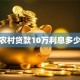 农村贷款10万利息多少