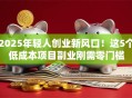 2025年轻人创业新风口！这5个低成本项目副业刚需零门槛