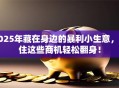2025年藏在身边的暴利小生意，抓住这些商机轻松翻身！