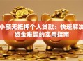 小额无抵押个人贷款：快速解决资金难题的实用指南