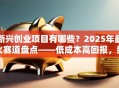 新兴创业项目有哪些？2025年最火赛道盘点——低成本高回报，新手也能轻松入局！