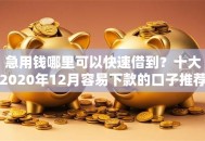 急用钱哪里可以快速借到？十大2020年12月容易下款的口子推荐