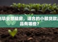 刚毕业想租房，适合的小额贷款产品有哪些？