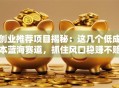创业推荐项目揭秘：这几个低成本蓝海赛道，抓住风口稳赚不赔！