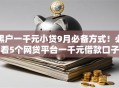 黑户一千元小贷9月必备方式!必看5个网贷平台一千元借款口子 黑户一千元小贷9月必备方式!必看5个网贷平台一千元借款口子