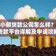 邦信小额贷款公司怎么样？正规贷款平台详解及申请攻略