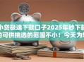 小贷极速下款口子2025年秒下款的可供挑选的范围不小！今天为您深入罗列这五个贷款口子！