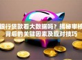 银行贷款看大数据吗？揭秘审核背后的关键因素及应对技巧