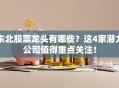 东北股票龙头有哪些？这4家潜力公司值得重点关注！