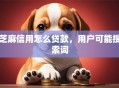 芝麻信用怎么贷款，用户可能搜索词