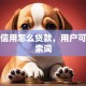 芝麻信用怎么贷款，用户可能搜索词