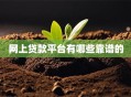 网上贷款平台有哪些靠谱的