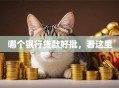 哪个银行贷款好批，看这里