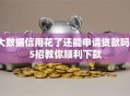 大数据信用花了还能申请贷款吗？5招教你顺利下款