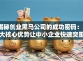 揭秘创业黑马公司的成功密码：3大核心优势让中小企业快速突围