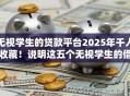 无视学生的贷款平台2025年千人收藏！说明这五个无视学生的借款软件