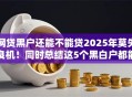 网贷黑户还能不能贷2025年莫失良机！同时总结这5个黑白户都能下款的网贷2025年还款