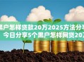 黑户怎样贷款20万2025方法分享！今日分享5个黑户怎样网贷20万口子