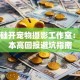 零基础开宠物摄影工作室：低成本高回报避坑指南