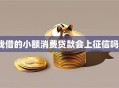 我借的小额消费贷款会上征信吗？