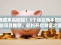 低成本高回报！5个适合新手的创业项目推荐，轻松开启财富之路