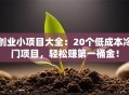 创业小项目大全：20个低成本冷门项目，轻松赚第一桶金！