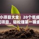 创业小项目大全：20个低成本冷门项目，轻松赚第一桶金！