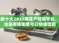 最新十大2025黑花户借款平台，专治急用钱哪里可以快速借到