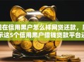 现在信用黑户怎么样网贷还款，展示这5个信用黑户借钱贷款平台还款