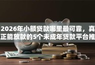 2026年小额贷款哪里最可靠，真正能放款的5个未成年贷款平台推荐