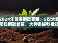 2024年最悔借款瞬间，5次大鹅花钱借款秘密，大神揭秘秒批技巧！