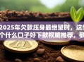 2025年欠款压身最绝望时，这5个什么口子好下款权威推荐，额度秒批！