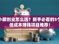 小额创业怎么选？新手必看的5个低成本赚钱项目推荐！