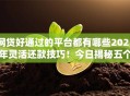 网贷好通过的平台都有哪些2025年灵活还款技巧!今日揭秘五个借款好通过口子都有软件 网贷好通过的平台都有哪些2025年灵活还款技巧!今日揭秘五个借款好通过口子都有软件