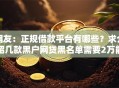 网友：正规借款平台有哪些？求介绍几款黑户网贷黑名单需要2万能借款平台