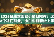 2025低成本创业小项目推荐：这8个冷门副业，小白也能轻松上手
