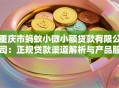 重庆市蚂蚁小微小额贷款有限公司：正规贷款渠道解析与产品服务详解