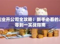 创业开公司全攻略：新手必看的从零到一实战指南