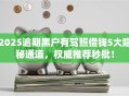 2025逾期黑户有驾照借钱5大隐秘通道，权威推荐秒批！