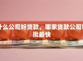 什么公司好贷款，哪家贷款公司审批最快
