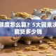 贷款额度怎么算？5大因素决定你能贷多少钱